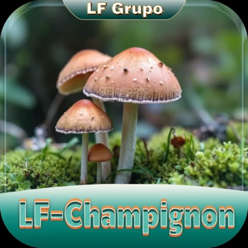 LF-Champignon.COM Logo